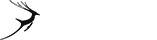 【使用方法详解】通俗易懂的网页版电话攻击